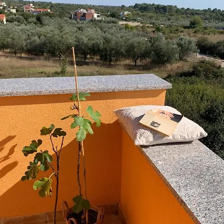 Casa Emma - Apartment Brijuni Apartment Vodnjan